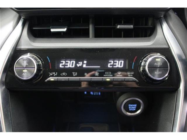 ハリアー(新潟県新潟市東区)