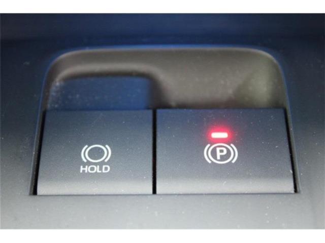 ハリアー(新潟県新潟市東区)