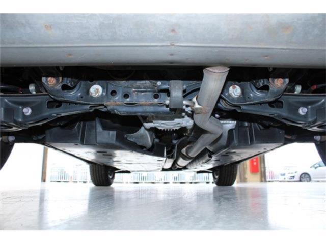 ハリアー(新潟県新潟市東区)