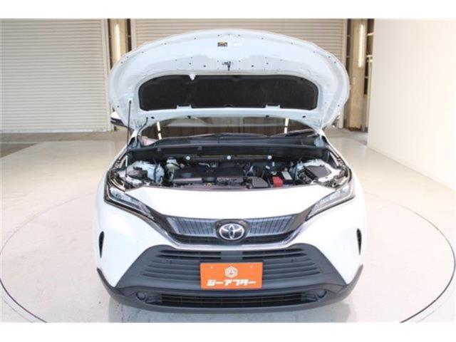 ハリアー(新潟県新潟市東区)