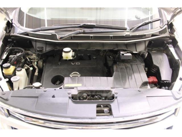 エルグランド(新潟県新潟市東区)