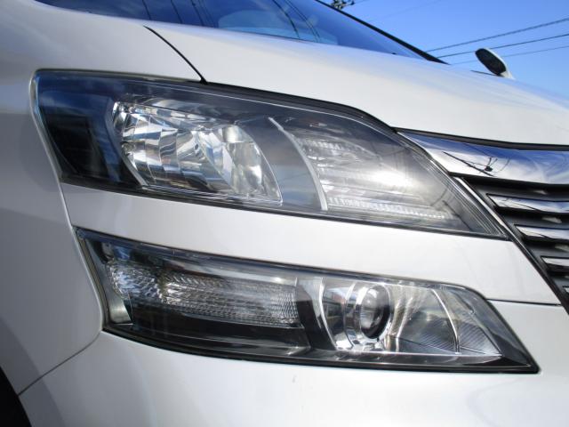 ヴェルファイア(新潟県新潟市南区)