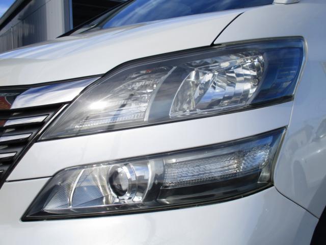 ヴェルファイア(新潟県新潟市南区)