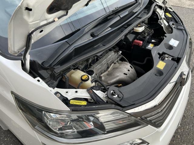 ヴェルファイア(新潟県新潟市南区)