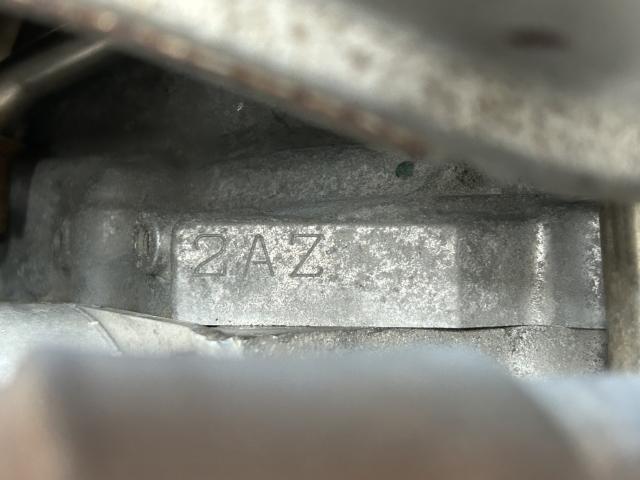 ヴェルファイア(新潟県新潟市南区)