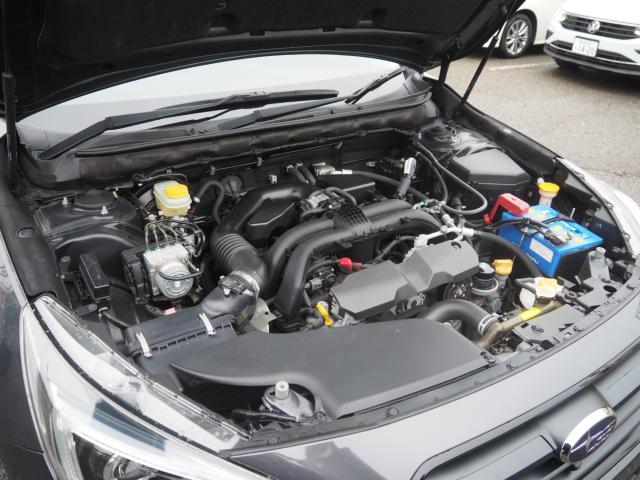 アウトバック（新潟県新潟市西区）画像20