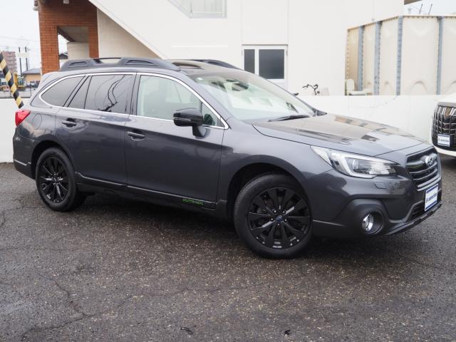 アウトバック（新潟県新潟市西区）画像25