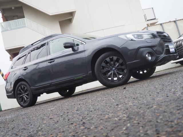 アウトバック（新潟県新潟市西区）画像26