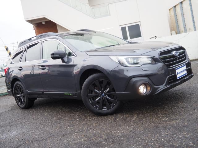 アウトバック（新潟県新潟市西区）画像37