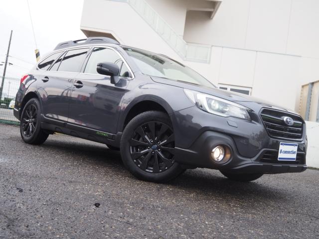 アウトバック（新潟県新潟市西区）画像10