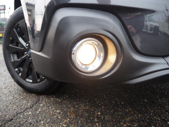 アウトバック（新潟県新潟市西区）画像39