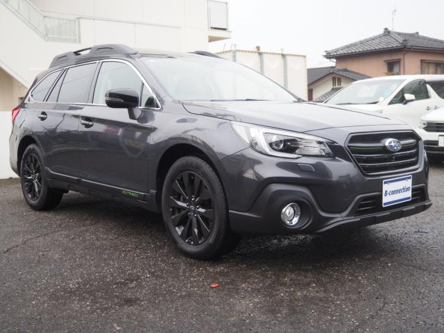 アウトバック（新潟県新潟市西区）画像27