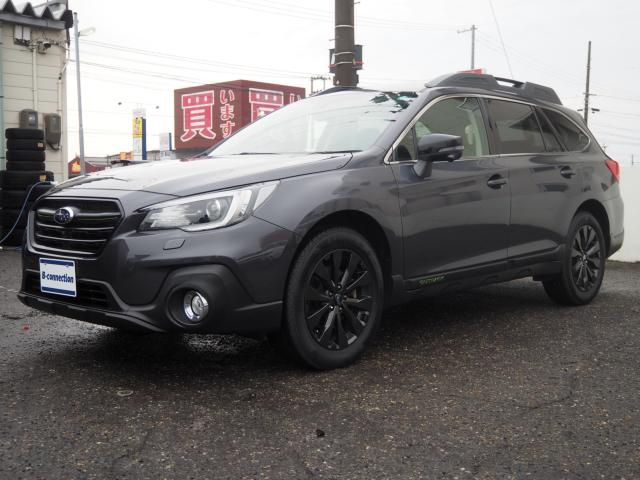 アウトバック（新潟県新潟市西区）画像23