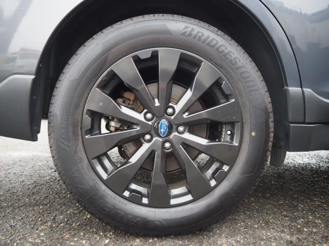 アウトバック（新潟県新潟市西区）画像48