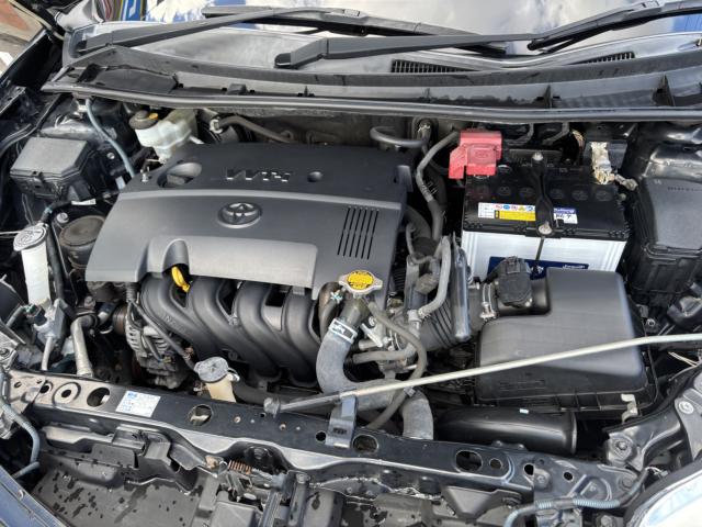 カローラフィールダー（新潟県新潟市西蒲区）画像33