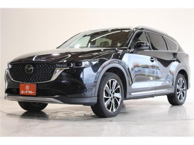 CX-8（新潟県新潟市東区）画像10