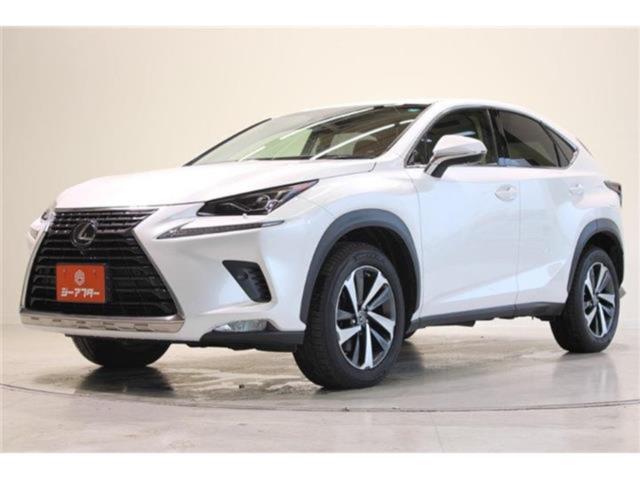 レクサスＮＸ（新潟県新潟市東区）画像10