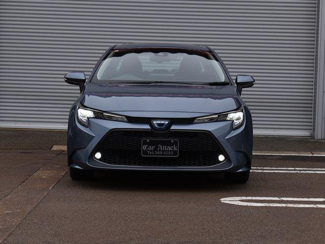 カローラ（新潟県上越市）画像8