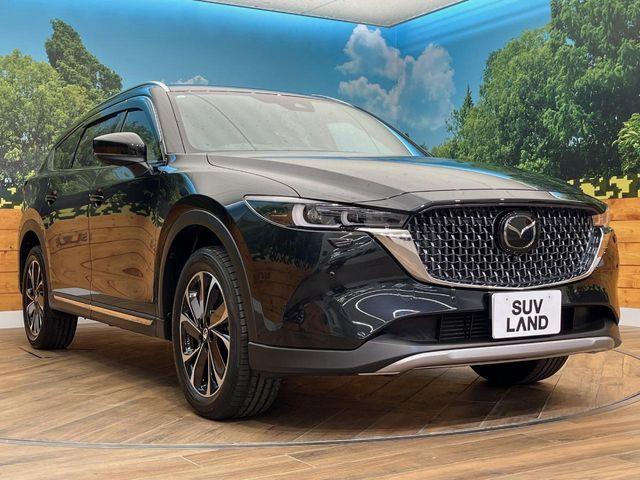 CX-8（新潟県長岡市）画像19