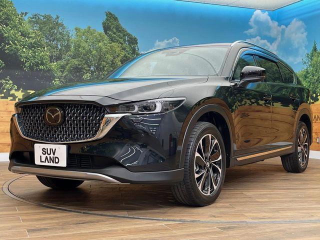 CX-8（新潟県長岡市）画像75