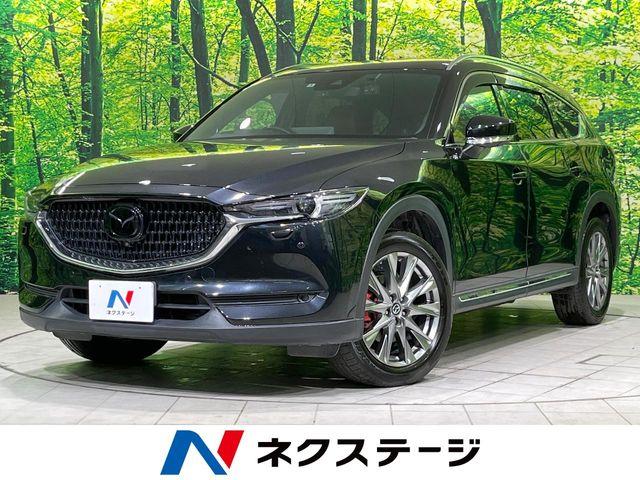 CX-8（新潟県長岡市）