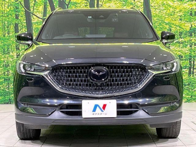 CX-8（新潟県長岡市）画像16