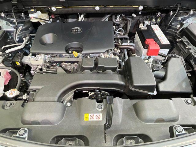 ハリアー（新潟県新潟市南区）