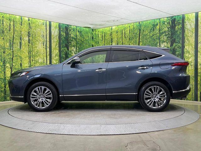 ハリアー（新潟県新潟市南区）