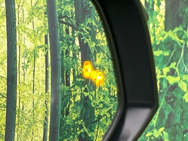 ハリアー（新潟県新潟市南区）