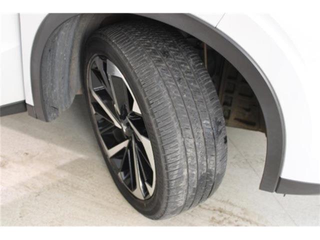 アウトランダー（新潟県新潟市東区）