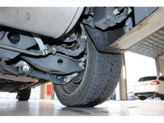 アウトランダー（新潟県新潟市東区）