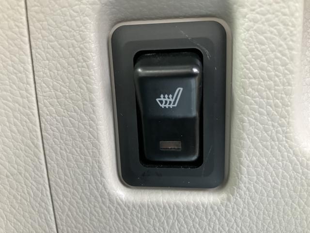 デイズルークス（新潟県新潟市南区）