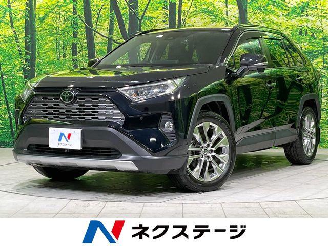 ＲＡＶ４（新潟県長岡市）