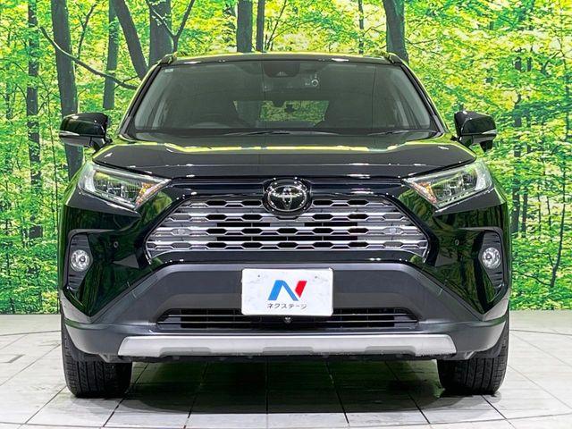 ＲＡＶ４（新潟県長岡市）