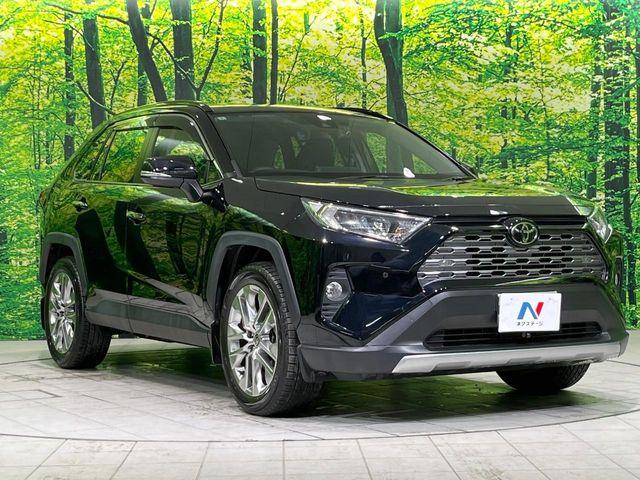ＲＡＶ４（新潟県長岡市）