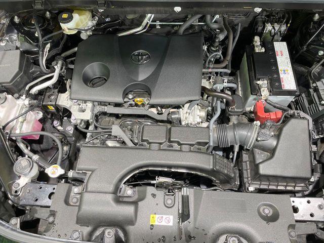 ＲＡＶ４（新潟県長岡市）