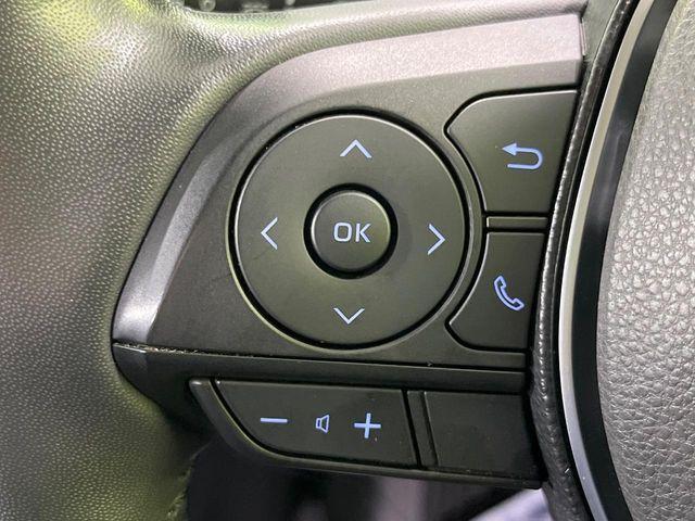 ＲＡＶ４（新潟県長岡市）