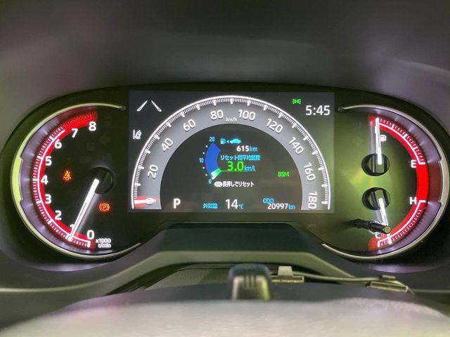 ＲＡＶ４（新潟県長岡市）