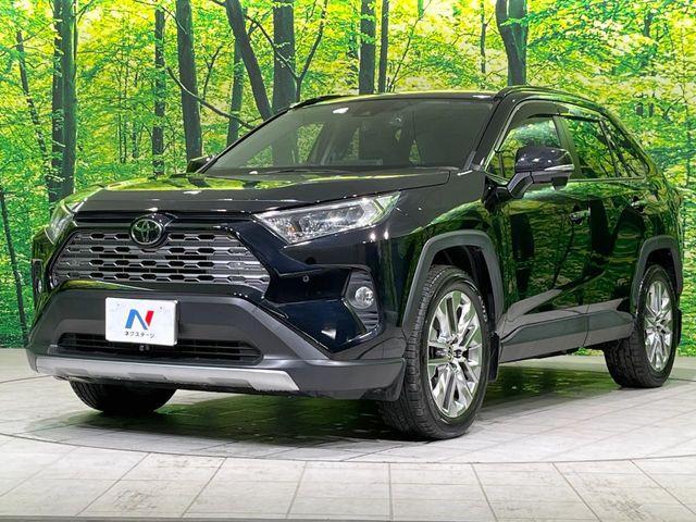 ＲＡＶ４（新潟県長岡市）