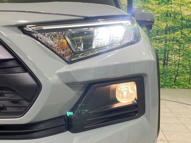 ＲＡＶ４（新潟県長岡市）画像12