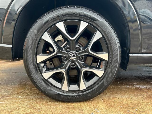 ZR-V（新潟県新潟市江南区）