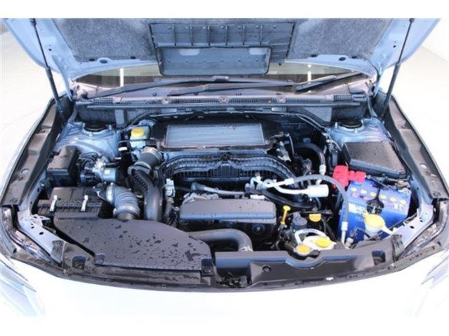 レヴォーグ（新潟県新潟市東区）