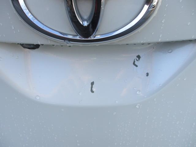 オーリス（新潟県長岡市）画像11