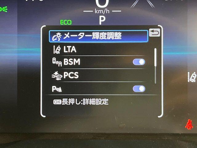 ＲＡＶ４（新潟県新潟市南区）画像52