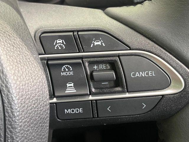 ヴォクシー（新潟県新潟市南区）