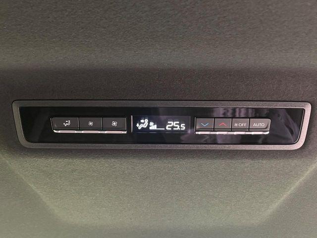 ヴォクシー（新潟県新潟市南区）