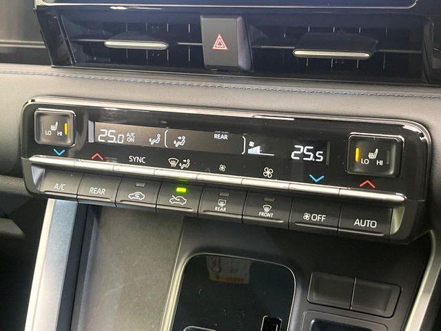 ヴォクシー（新潟県新潟市南区）