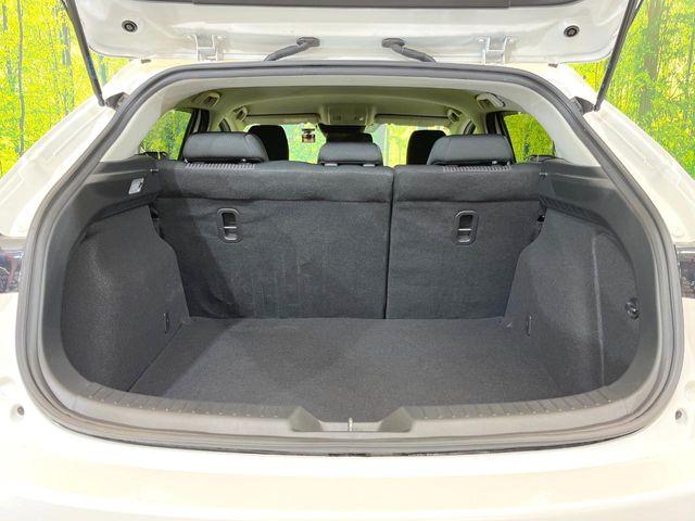 アクセラスポーツ（新潟県新潟市南区）画像42