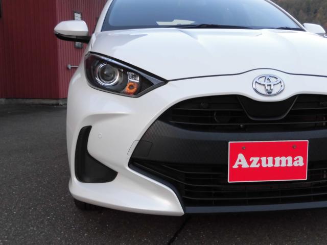 ヤリス（新潟県上越市）