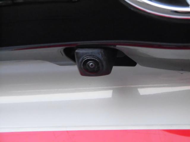 ヤリス（新潟県上越市）